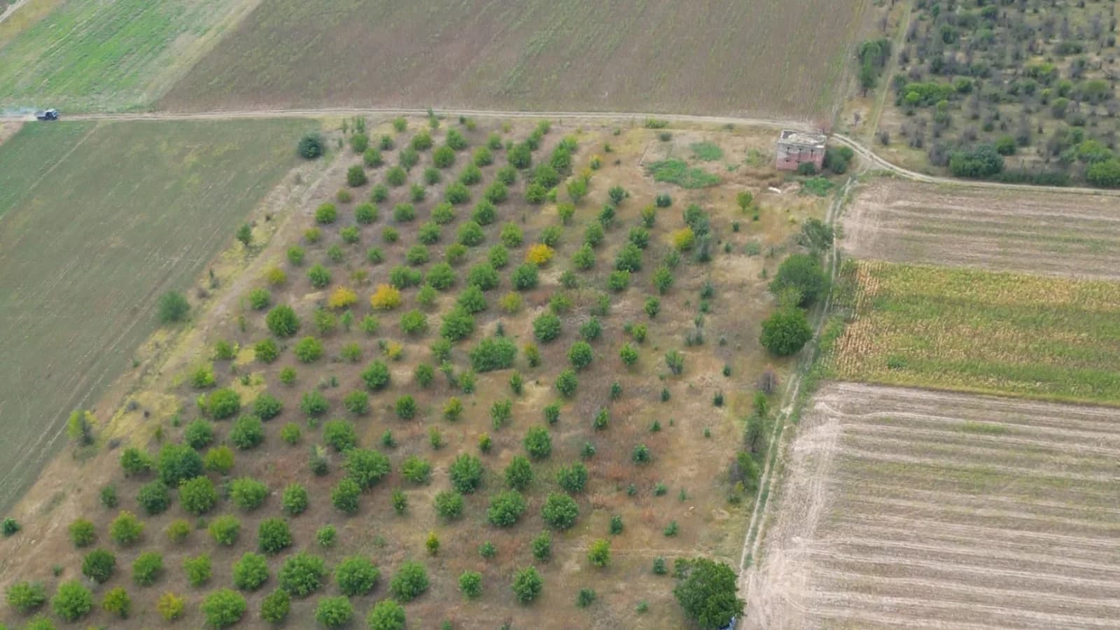 Teren 4,87 Ha în Pelivan, Orhei.