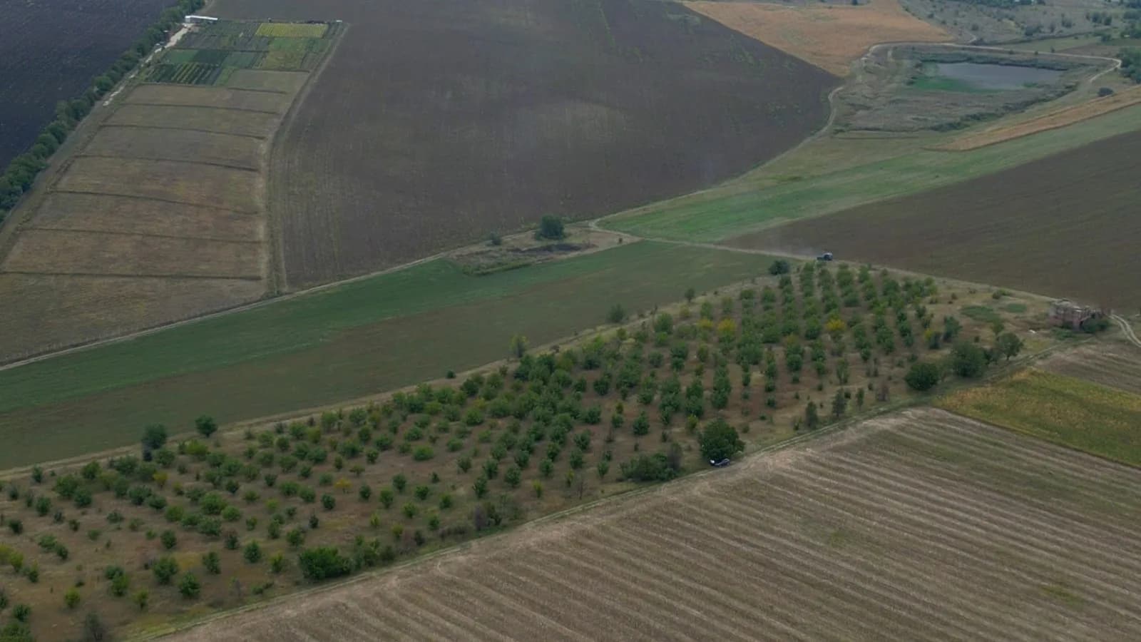 Teren 4,87 Ha în Pelivan, Orhei.