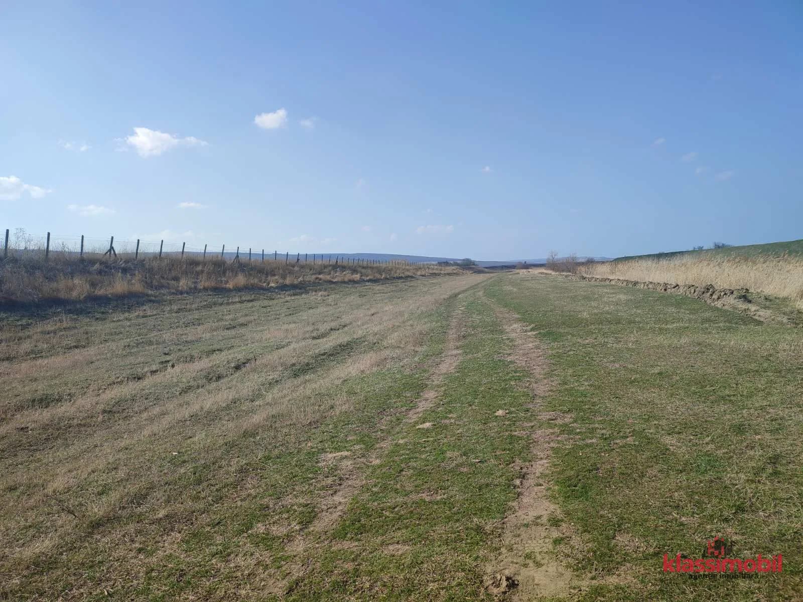 Teren agricol, Isacova, 4 hectare 4